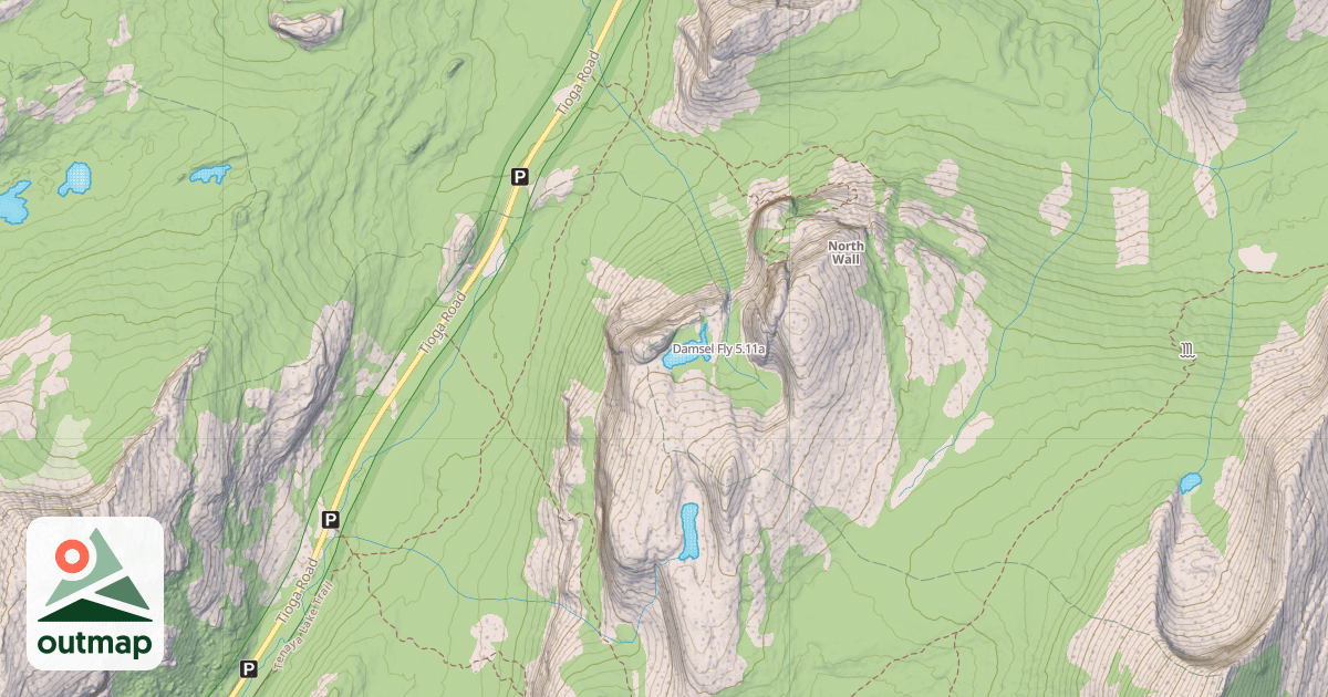 Map of Damsel Fly