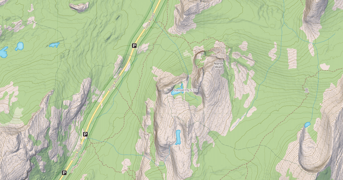Map preview of Damsel Fly