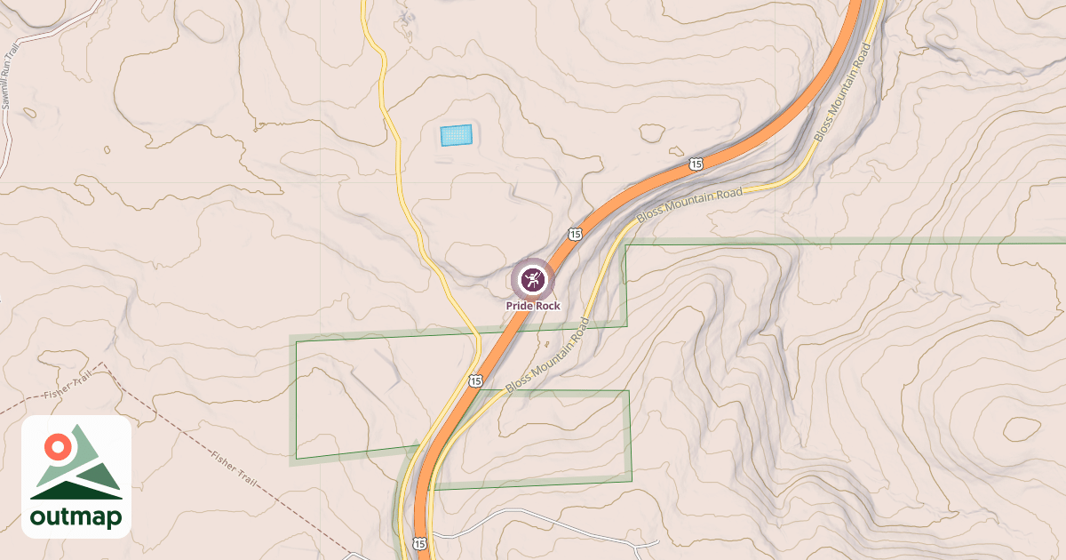 Map of Pride Rock