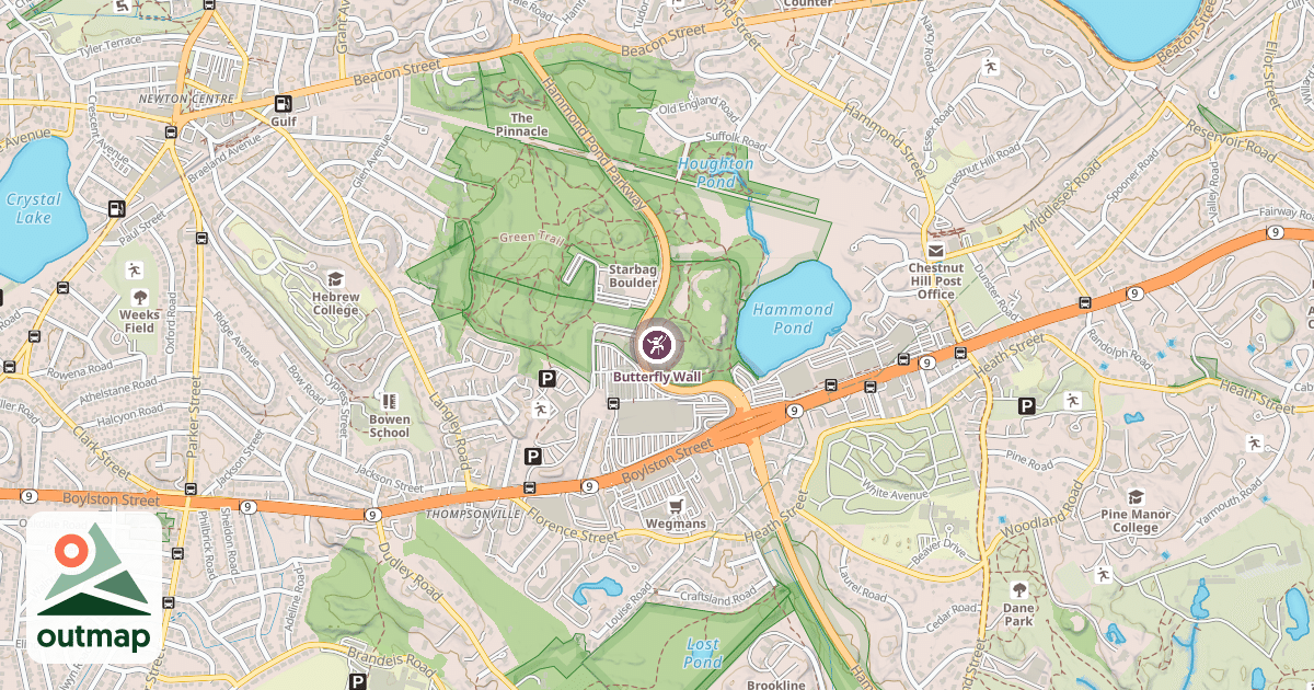 Map of Butterfly Wall
