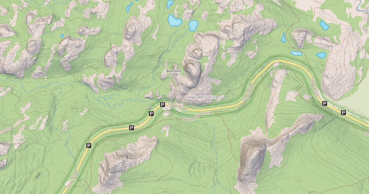 Map preview of Despicable Duck