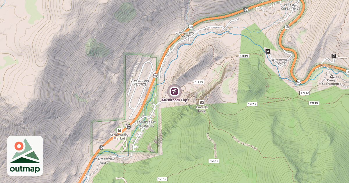 Map of Mushroom Cap