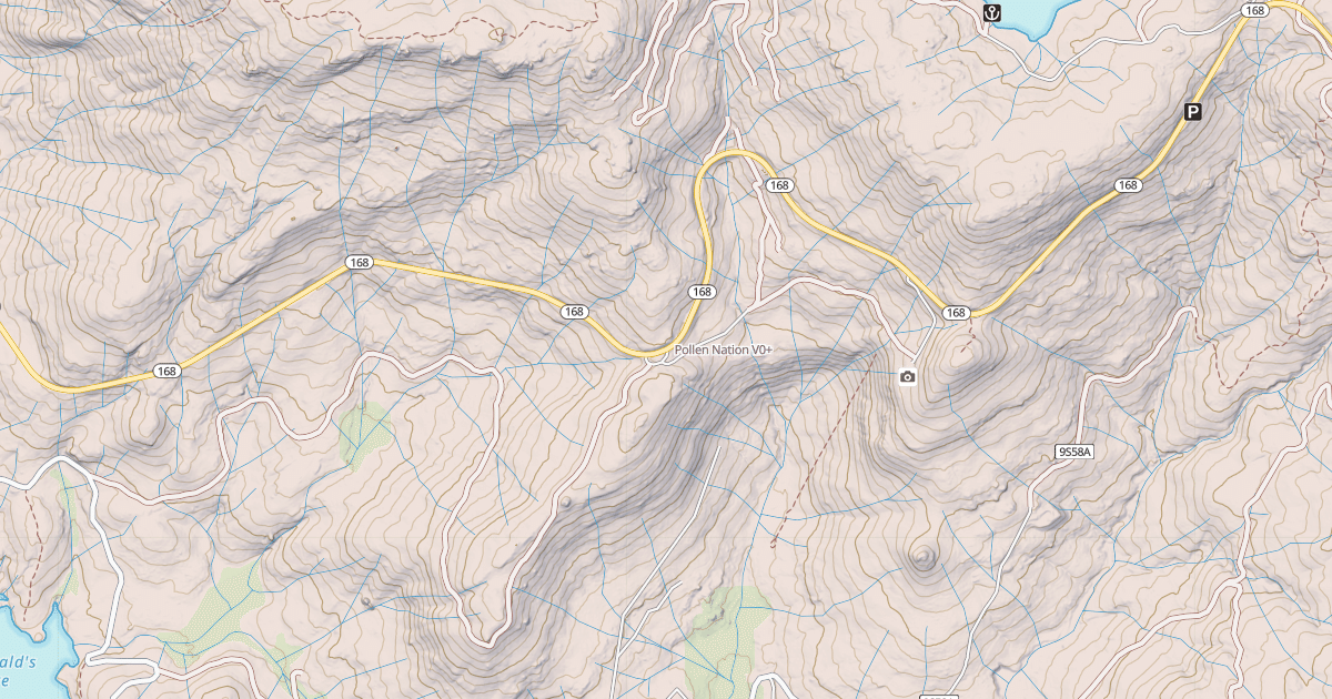 Map preview of Pollen Nation