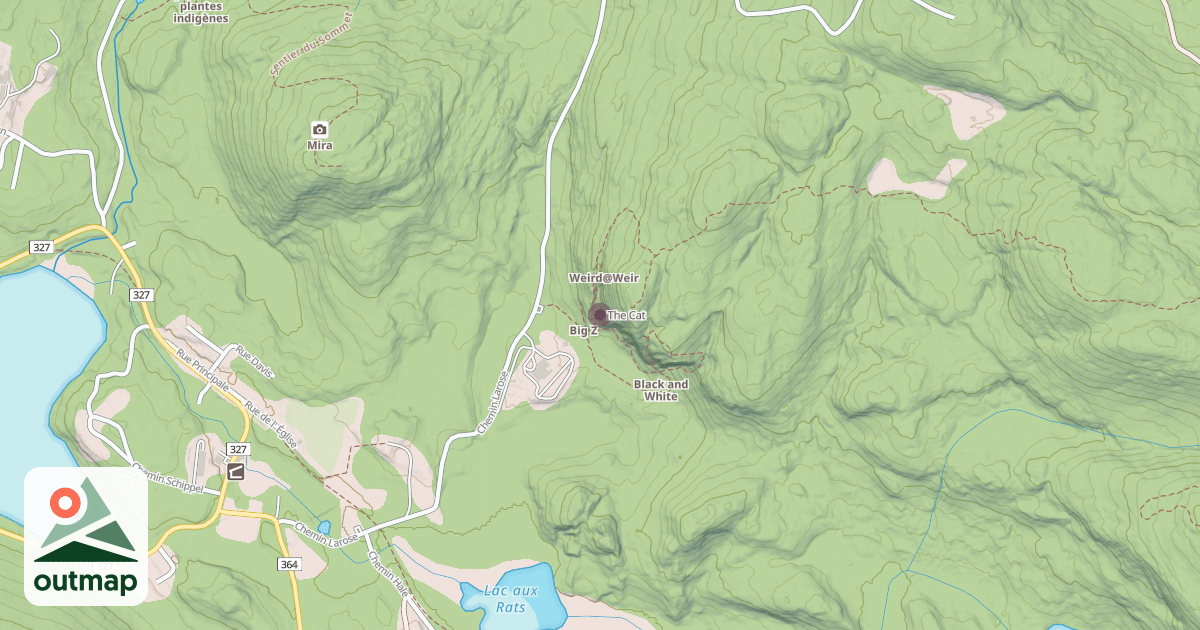 Map of The Cat