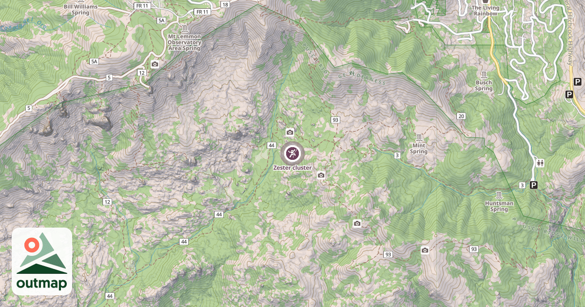 Map of Zester cluster