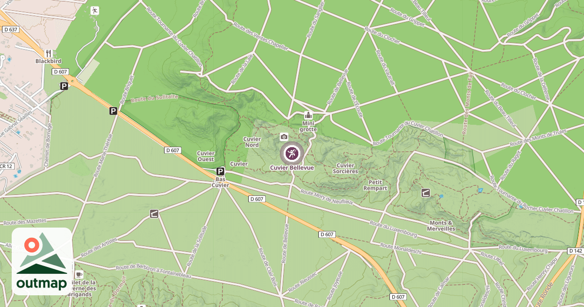 Map of Cuvier Bellevue
