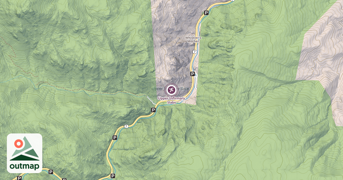 Map of Upper Infirmary Slabs