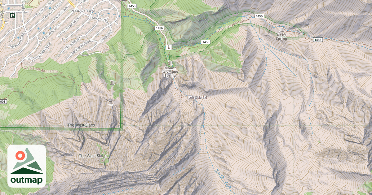 Map of Left Side