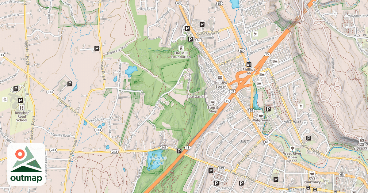 Map of Bose Gas