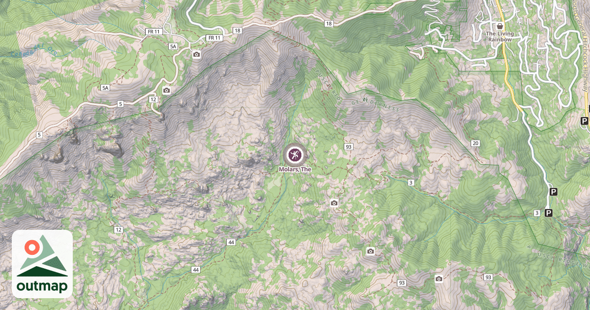 Map of Molars, The