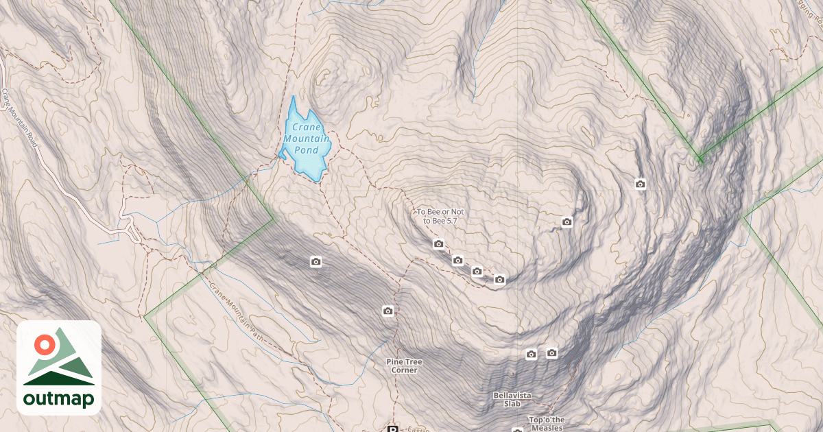Map of To Bee or Not to Bee