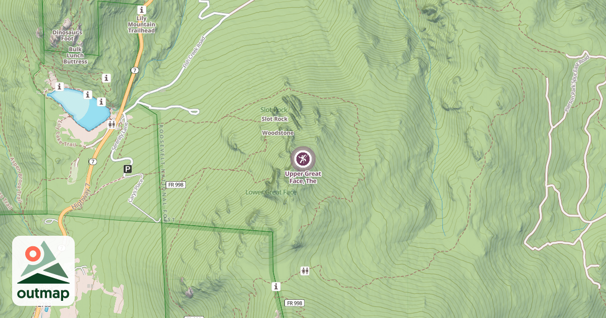 Map of Upper Great Face, The
