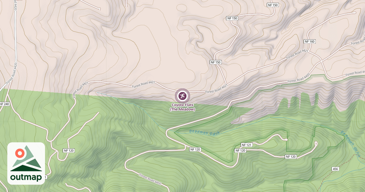 Map of Coyote Flats (The Meadow)