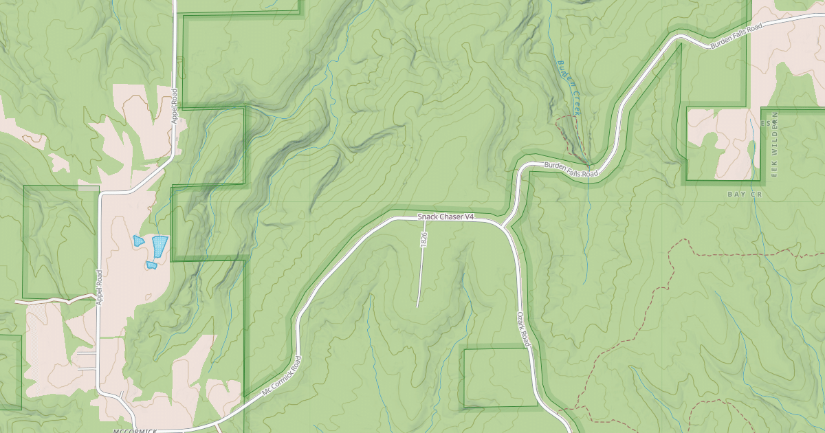 Map preview of Snack Chaser