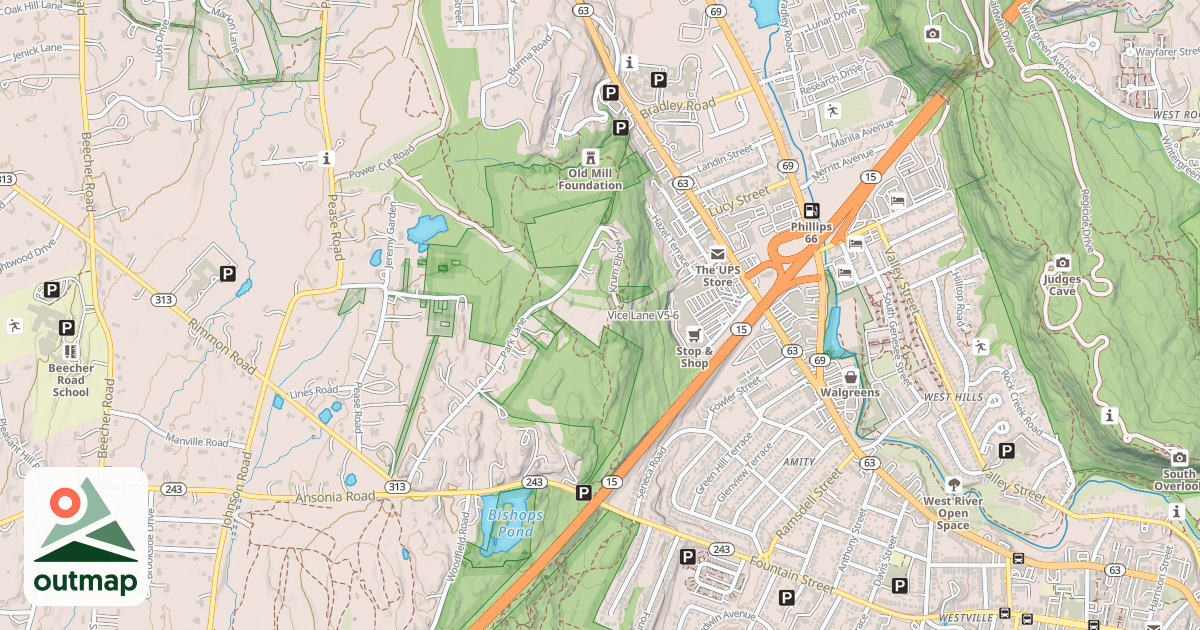 Map of Vice Lane