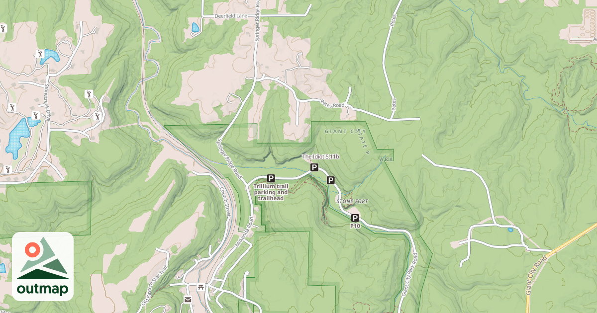 Map of The Idiot