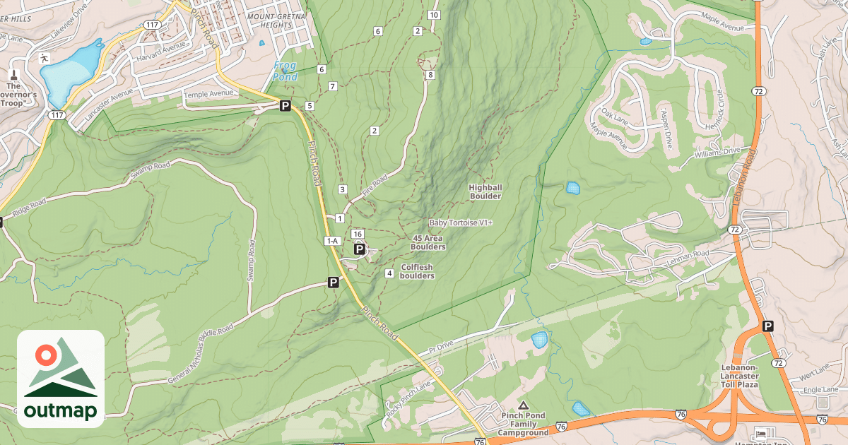 Map of Baby Tortoise