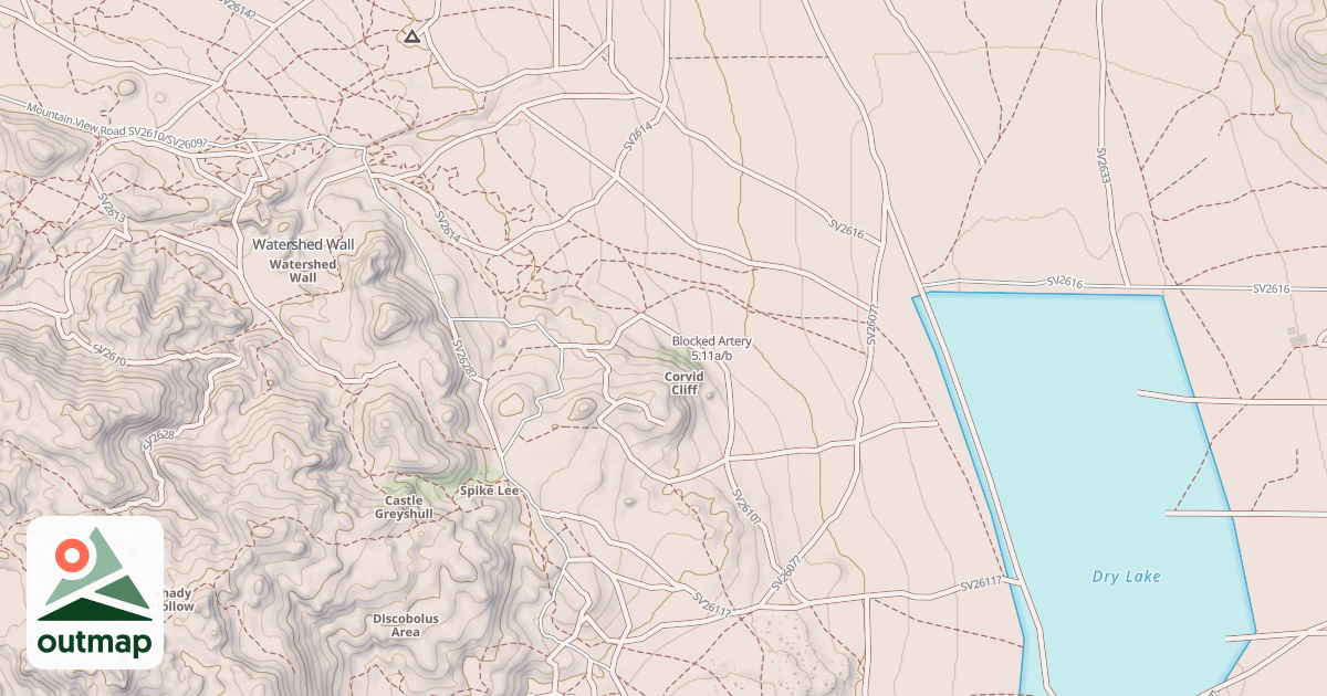 Map of Blocked Artery