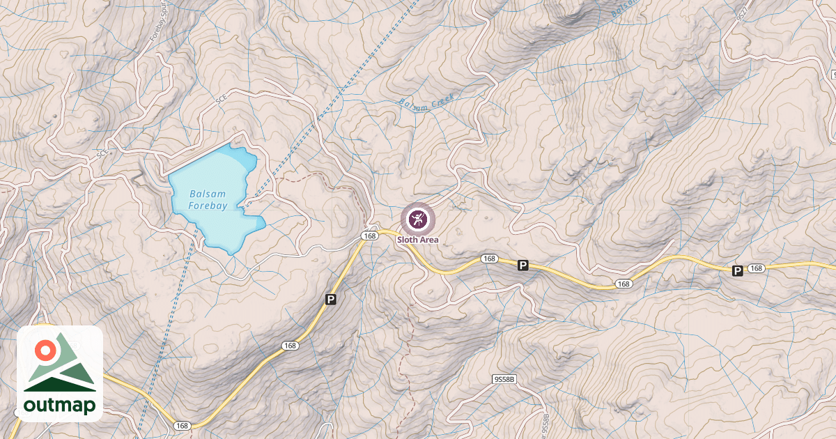 Map of Sloth Area