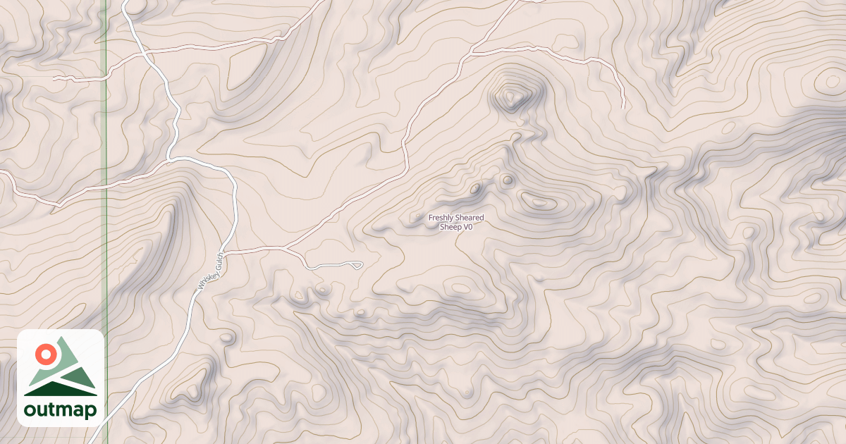 Map of Freshly Sheared Sheep
