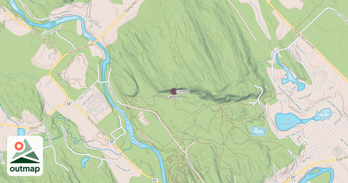 Map of The Mole