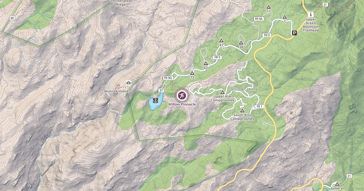 Map preview of Willow Pinnacle