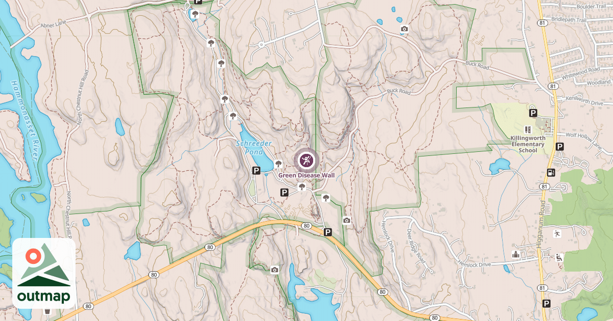 Map of Green Disease Wall