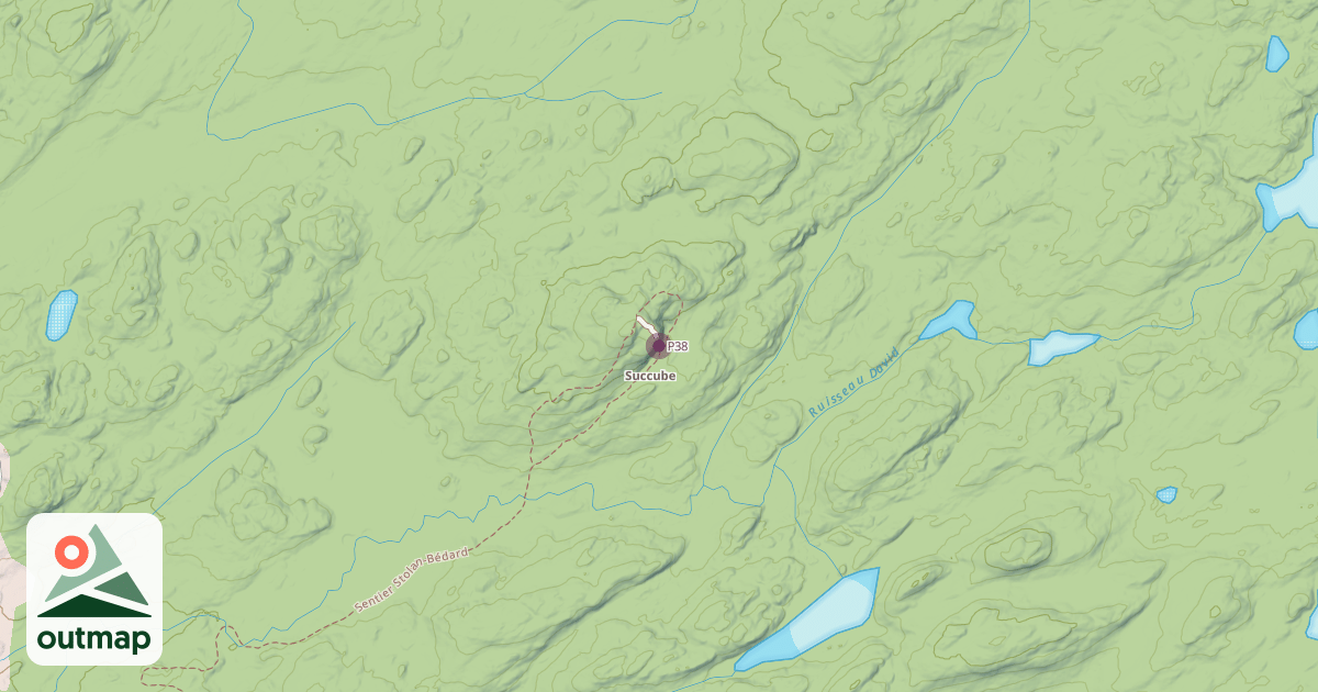 Map of P38