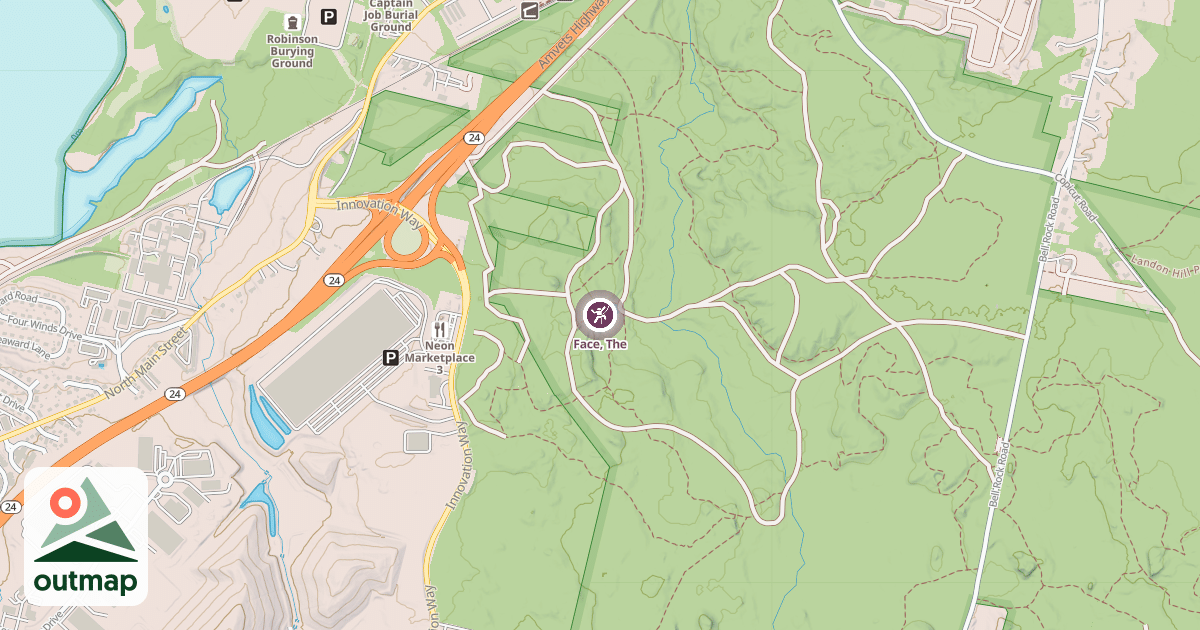 Map of Face, The