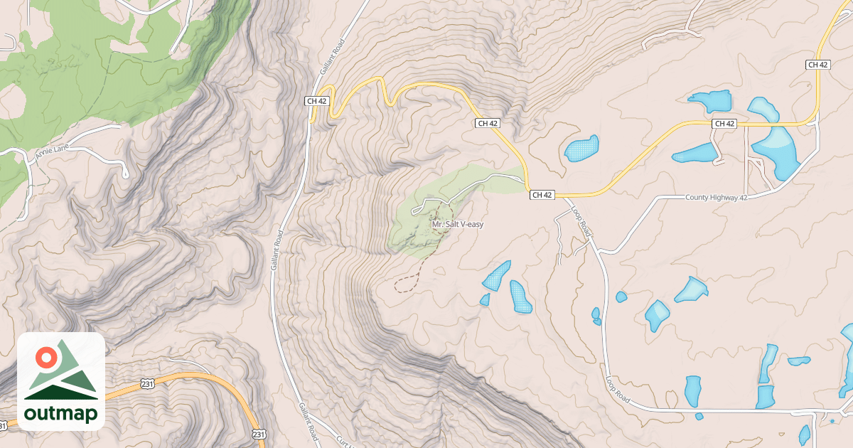 Map of Mr. Salt