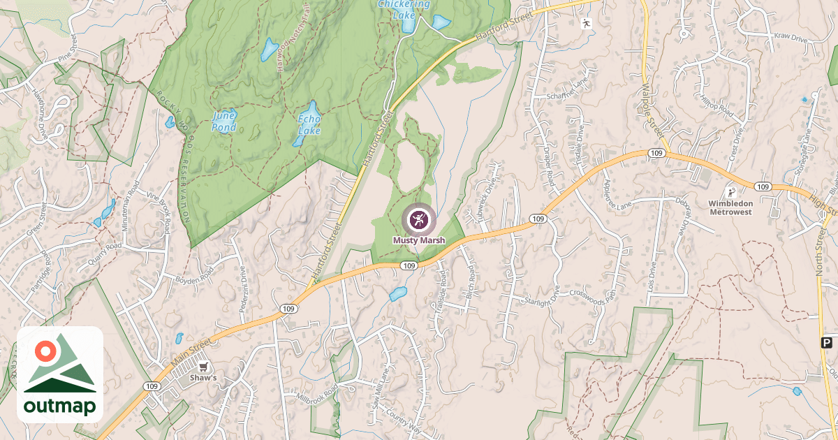 Map of Musty Marsh