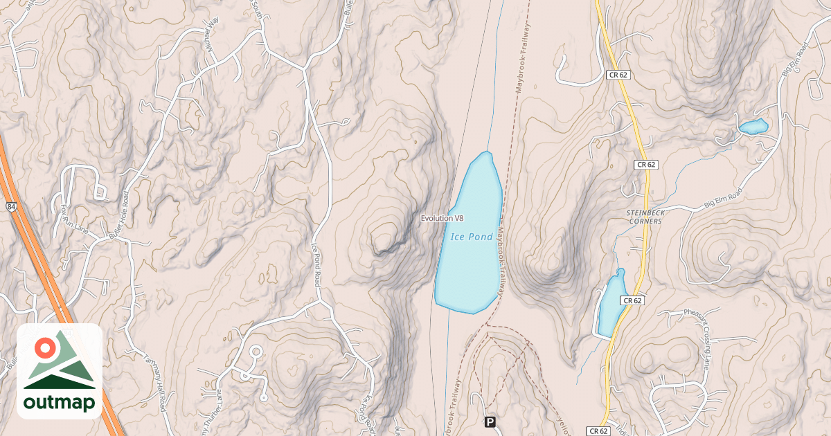 Map of Evolution