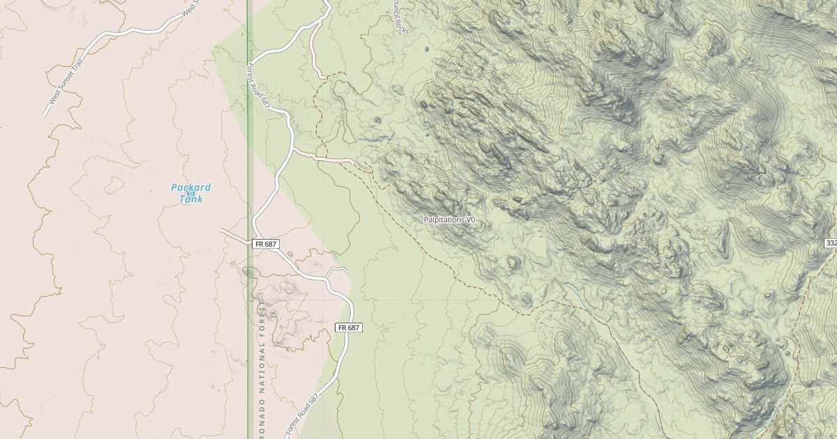 Map preview of Palpitations