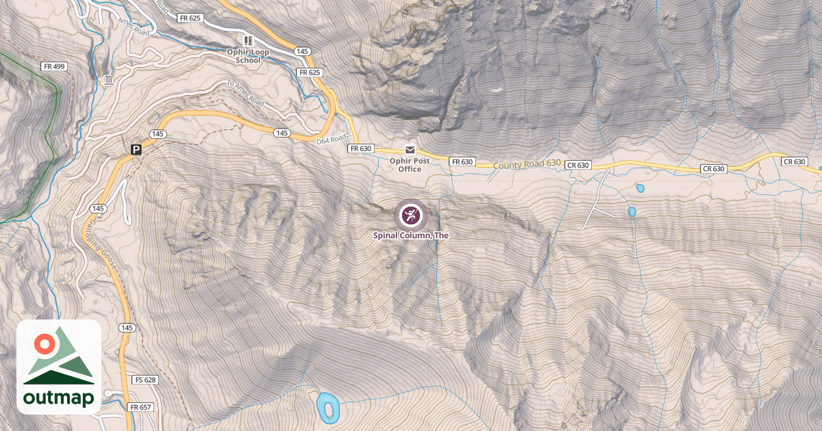 Map of Spinal Column, The