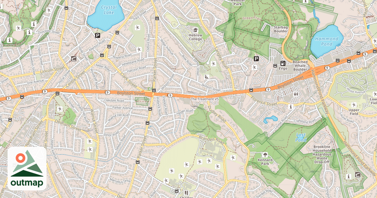 Map of The Treatment