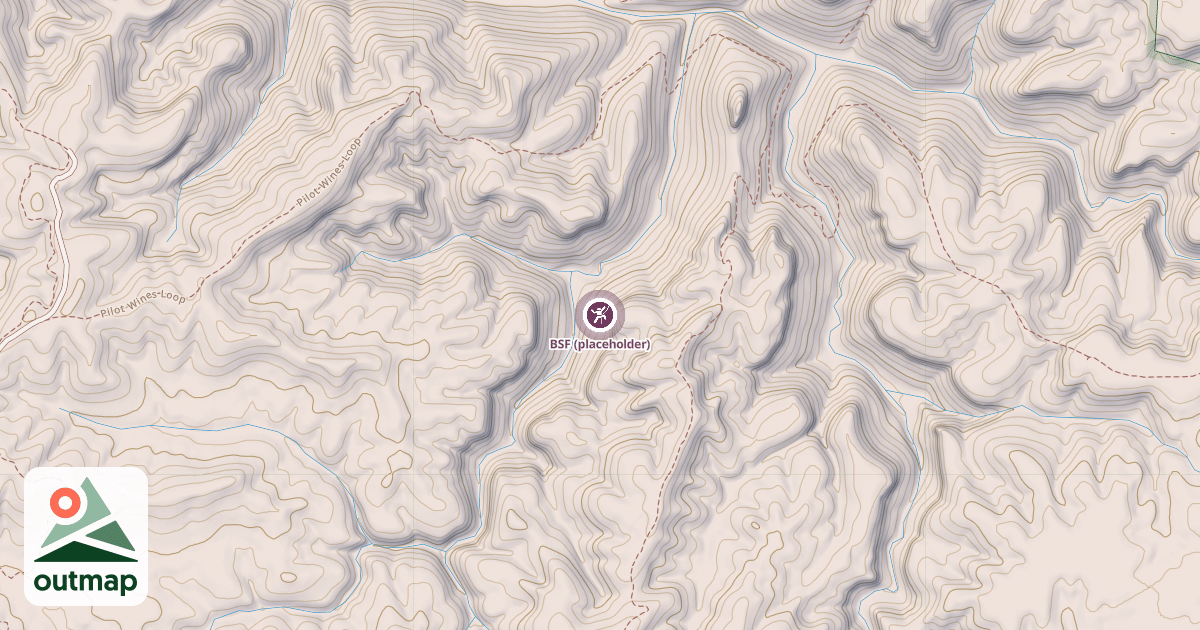 Map of BSF (placeholder)