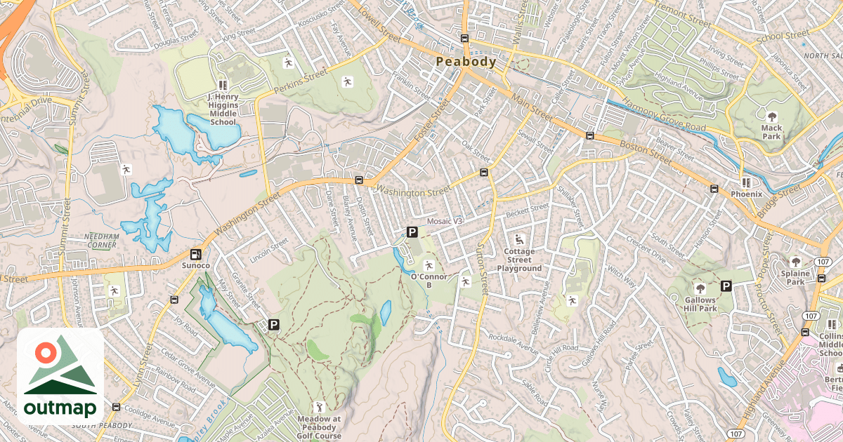 Map of Mosaic