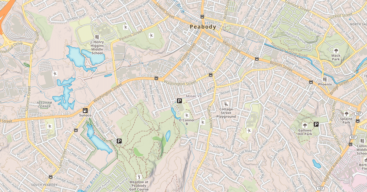 Map preview of Mosaic
