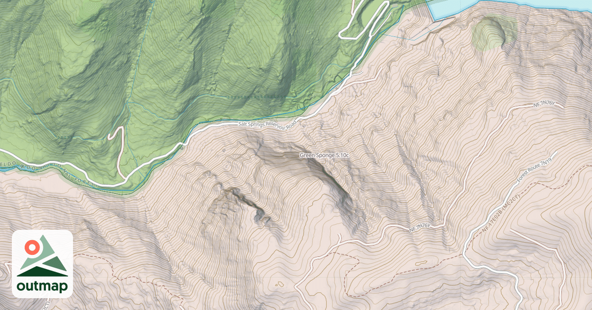 Map of Green Sponge