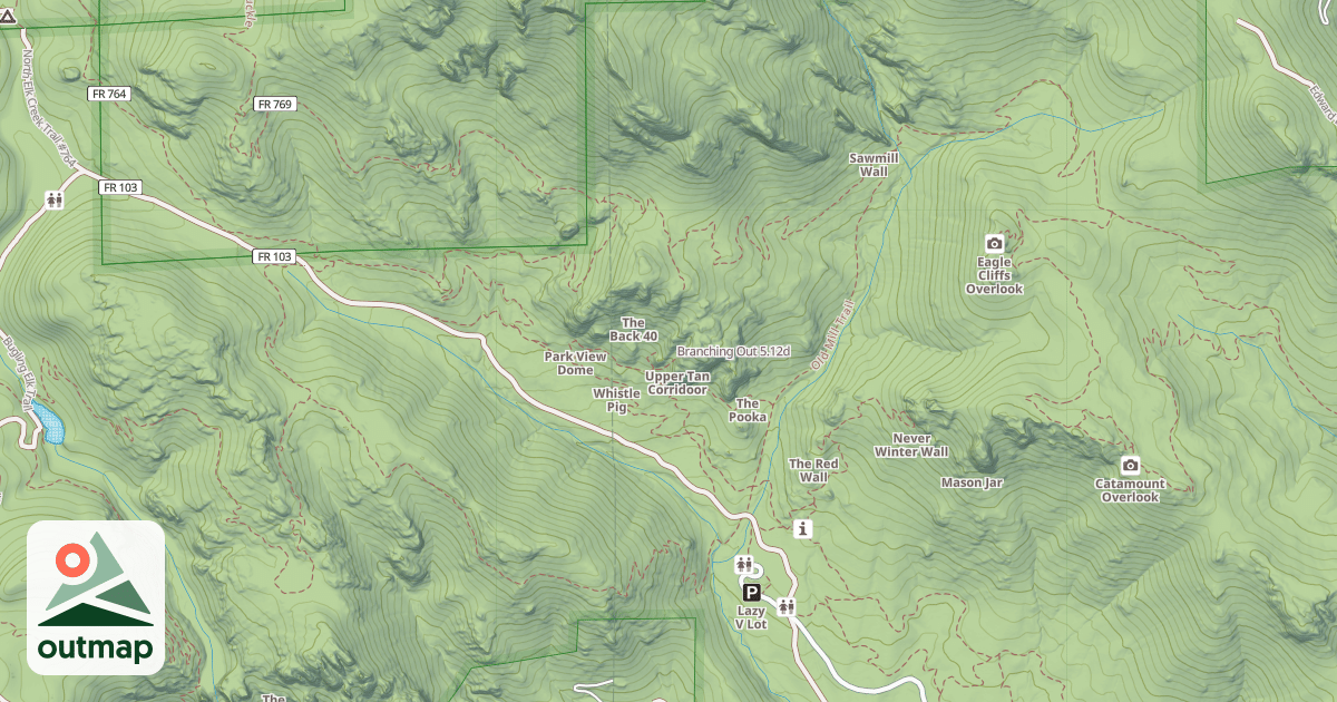 Map of Branching Out