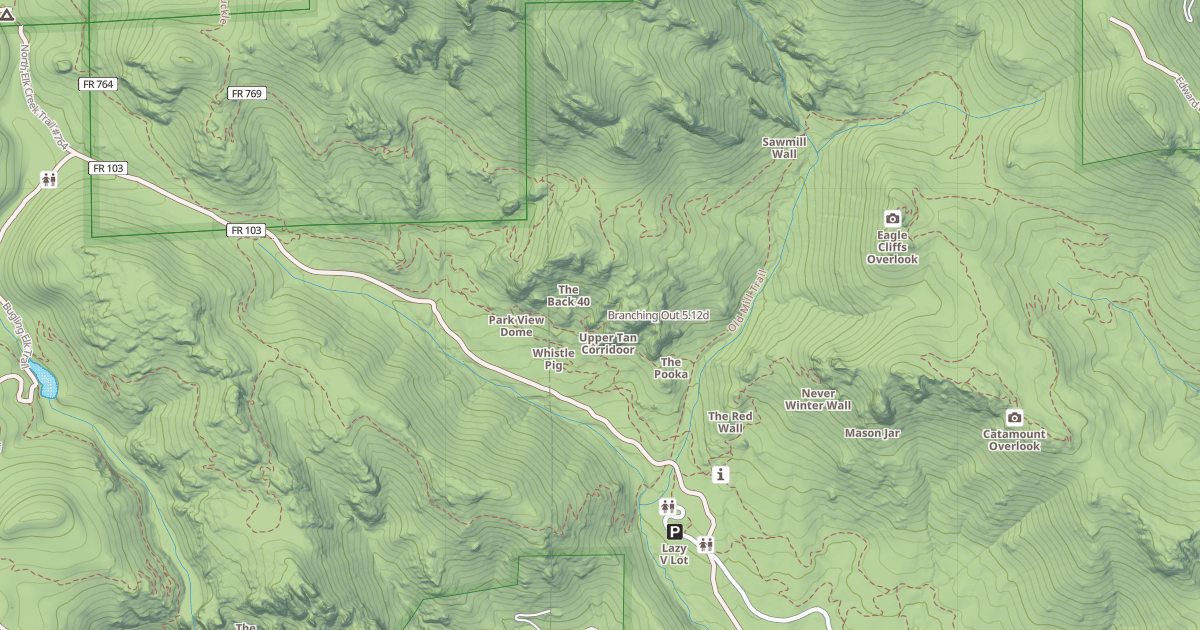 Map preview of Branching Out
