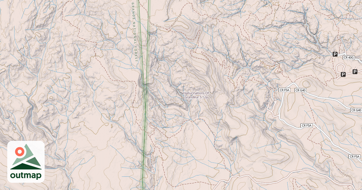 Map of Hallucinations Of Grandeur