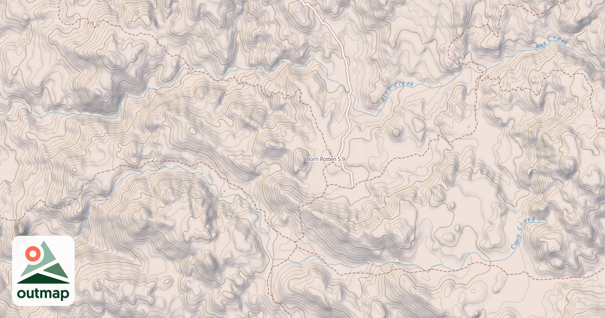 Map of Born Rotten