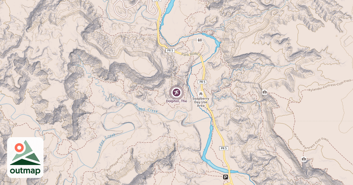 Map of Dolphin, The