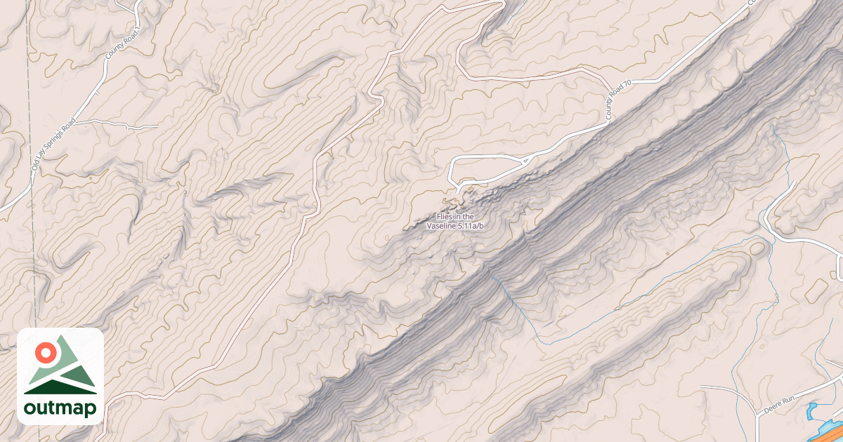 Map of Flies in the Vaseline