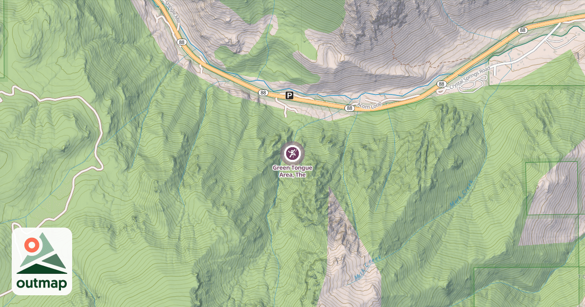 Map of Green Tongue Area, The