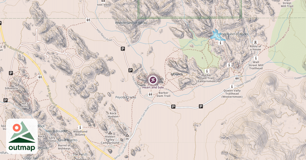Map of Heart and Sole