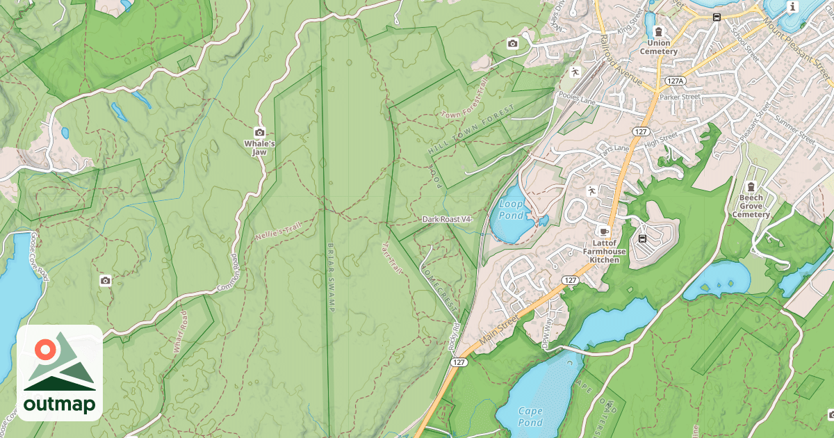 Map of Dark Roast