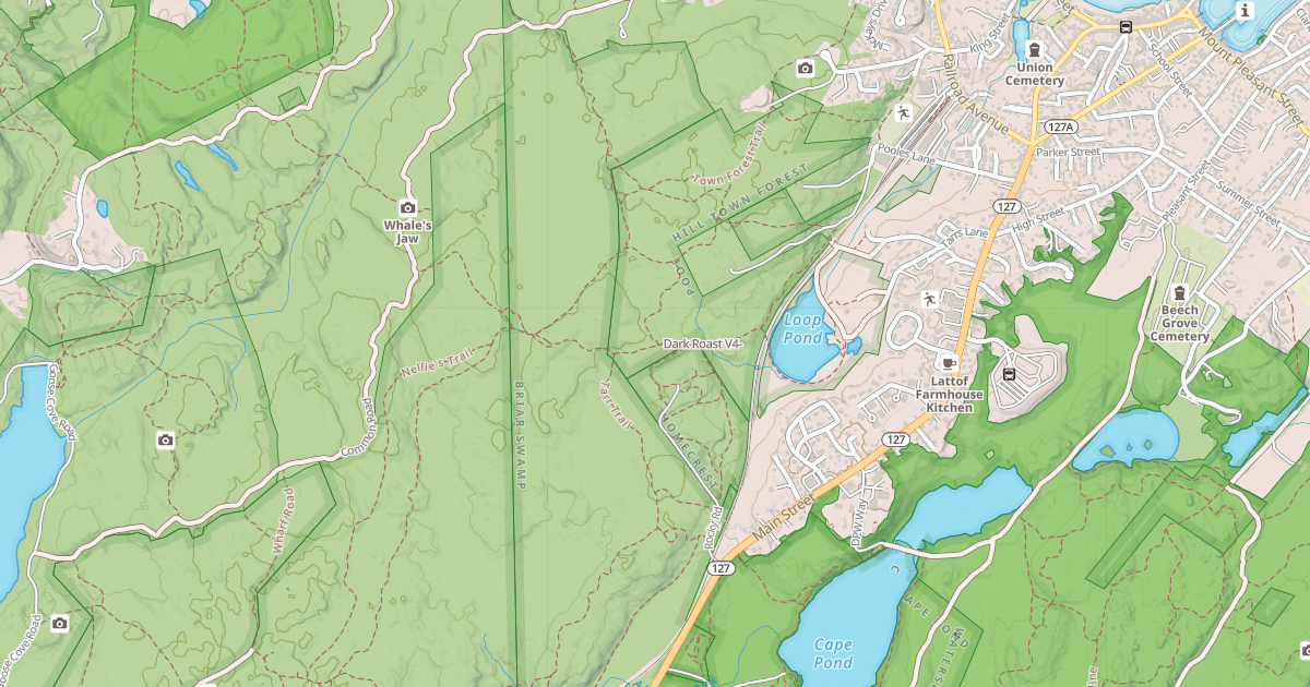 Map preview of Dark Roast