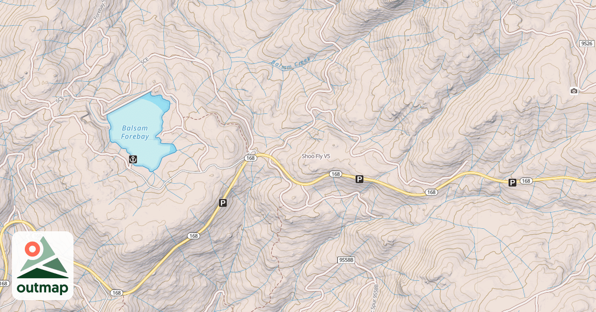 Map of Shoo Fly